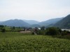 Bilde 2