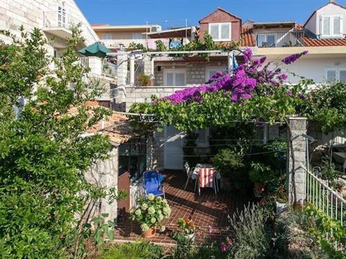 Ferielejlighed - 2 personer -  - 20000 - Dubrovnik