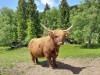 Bild 31 - Aussen