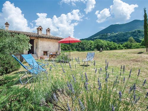 Fritidshus - 2 personer -  - Via del Fontanone - Spoleto - 06049 - Spoleto  Pg