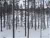 Bilde 25 - Inne
