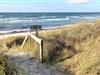 Billede 36 - Grund