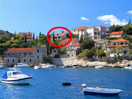 Holiday apartment - 7 persons -  - Prigradica 37, Prigradica - 20271 - Blato