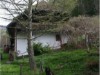 Bilde 3