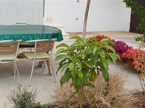 Holiday Home/Apartment - 4 persons -  - Jezera - 22242 - Jezera