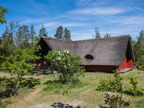 Sommerhus - 6 personer -  - Højsvej - Houstrup - 6830 - Nr. Nebel