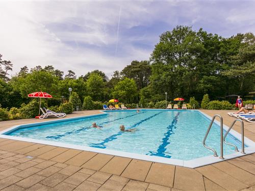 Chalet - 4 personer -  - 7475SL - Markelo