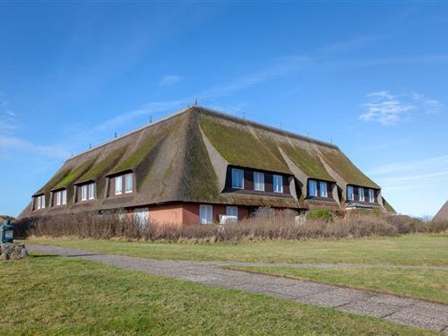 Semesterlägenhet - 4 personer -  - Kurhausstraße - 25999 - Kampen