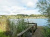 Billede 4 - Udsigt over vand