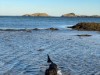 Bild 24 - Blick über's Wasser