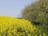 Bild 28