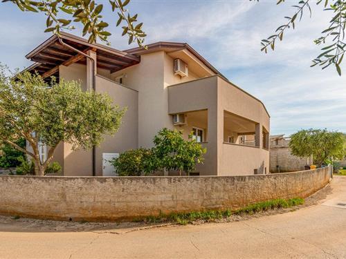 Ferielejlighed - 3 personer -  - Ulica Sridnje Kucice - 23234 - Vir