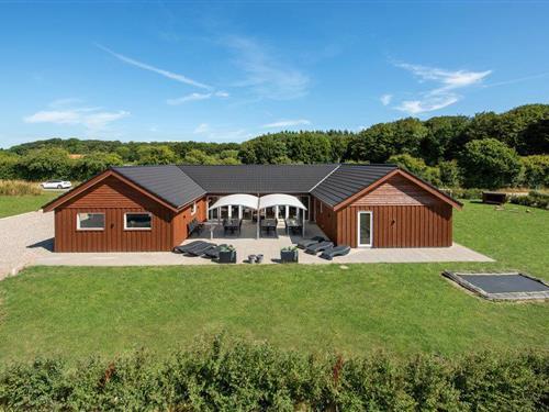 Ferienhaus - 24 Personen -  - Podehaven - Sandersvig - 6100 - Haderslev