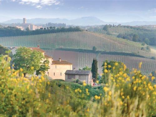 Holiday home - 3 persons -  - Pian dei Campi - Poggibonsi - 53036 - Poggibonsi Si