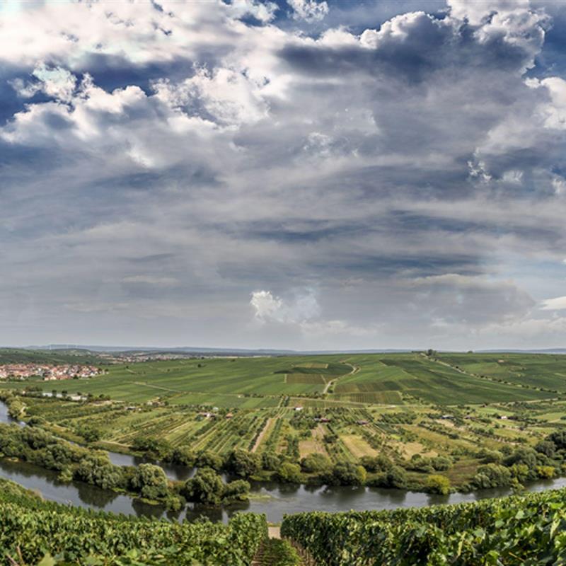 Ferielejlighed - 2 personer -  - Mainstr. - 97334 - Nordheim Am Main