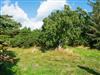 Bild 51 - Aussicht