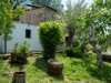 Image 39 - Outside
