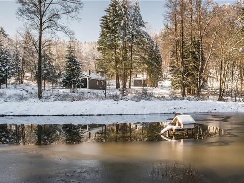 Feriehus / leilighet - 4 personer -  - Altensteiner Straße - 99842 - Ruhla