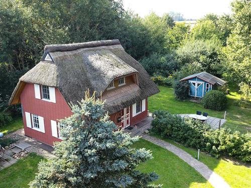 Sommerhus - 5 personer -  - Am Pappelhof - 18574 - Poseritz