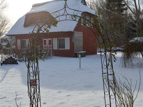 Feriehus / leilighet - 5 personer -  - Am Pappelhof - 18574 - Poseritz