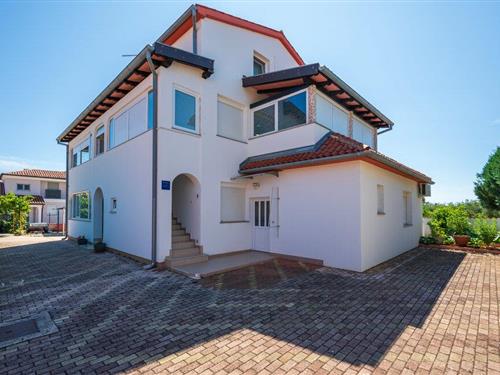 Ferielejlighed - 2 personer -  - Pineta - Fazana - Valbandon - 52212 - Valbandon