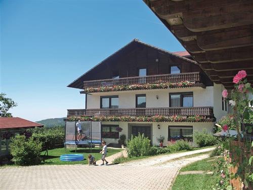 Ferielejlighed - 4 personer -  - Kienzlberg - 94143 - Grainet