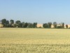Bilde 6
