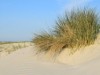 Bild 20