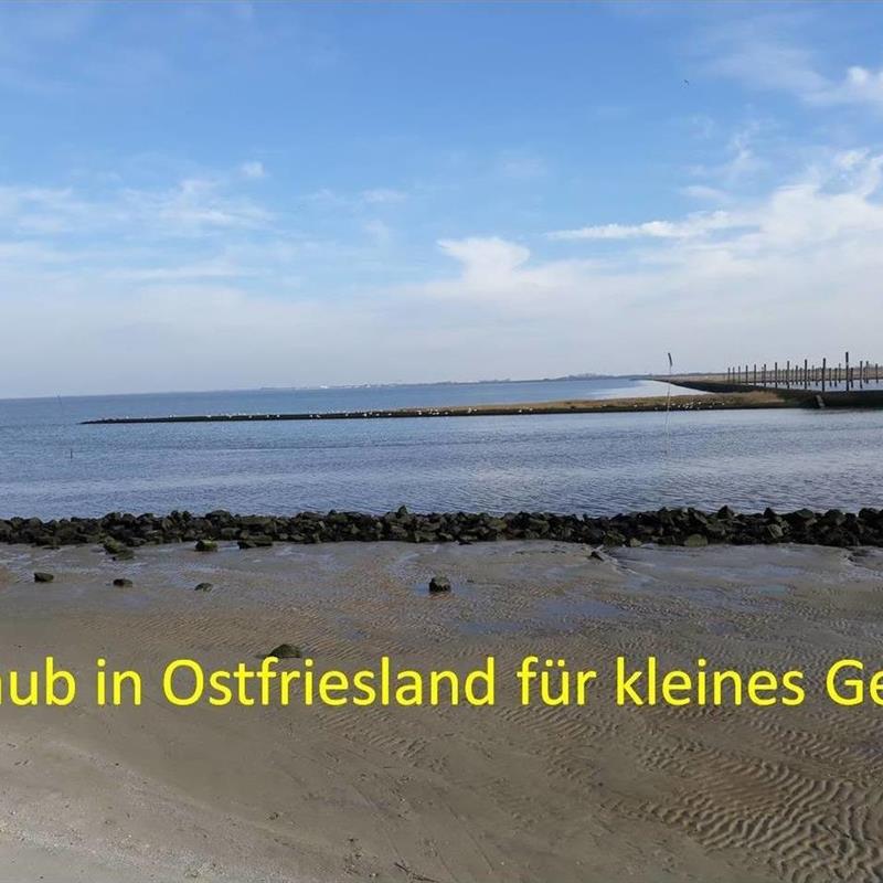 Ferielejlighed - 2 personer -  - Siedlerweg - 26556 - Utarp