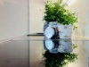 Bild 20