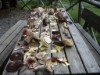 Bild 33 - Aussen