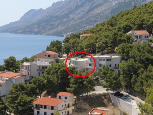 Holiday apartment - 2 persons -  - Put luke - 21322 - Brela