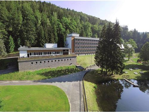 Ferielejlighed - 2 personer -  - 08265 - Erlbach