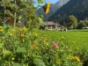 Bild 52
