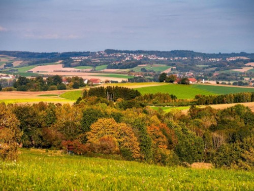 Holiday apartment - 2 persons -  - Fichtenweg - 94086 - Bad Griesbach Im Rottal