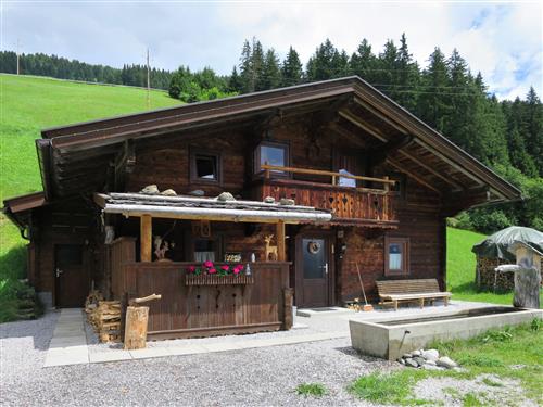 Sommerhus - 13 personer -  - Mayrhofen - 6283