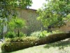 Image 13 - Outside