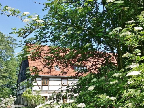 Sommerhus - 2 personer -  - 01814 - Rathmannsdorf