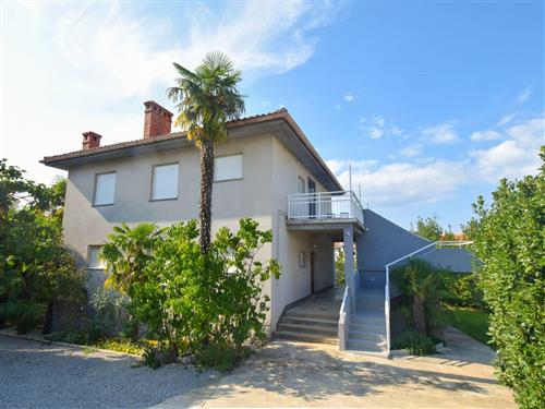 Ferielejlighed - 4 personer -  - Dubašljanska - 51511 - Malinska