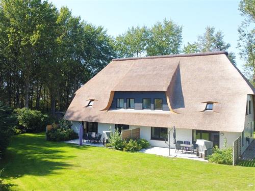 Ferienwohnung - 4 Personen -  - Hülk - 25836 - Vollerwiek