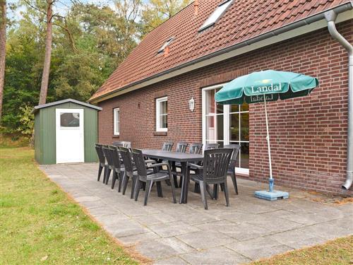 Ferienhaus - 12 Personen -  - Waldmeisterweg - D-49696  - Molbergen