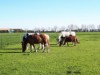 Bild 28