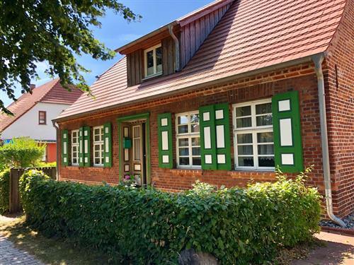 Ferielejlighed - 4 personer -  - Lindenstraße - 18347 - Wustrow