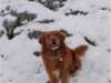 Bild 17