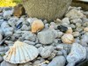 Bilde 36 - Inne