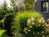 Billede 8