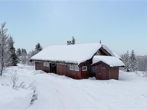 Sommerhus - 8 personer -  - Høgåsen - Venabygd/Ringebu - 2632 - Venabygd