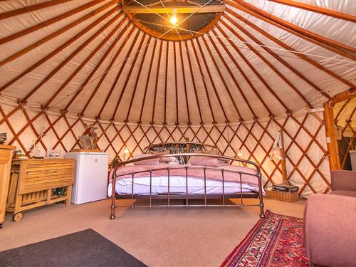 Chalet - 2 personer -  - PH3 1pw - Auchterarder