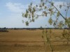 Bilde 35 - Ude