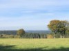 Afbeelding 27